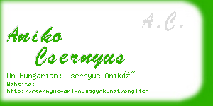 aniko csernyus business card